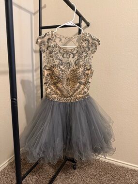 Embellished Gold and Gray Dress